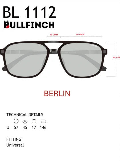 Очки BULLFINCH модель C1112