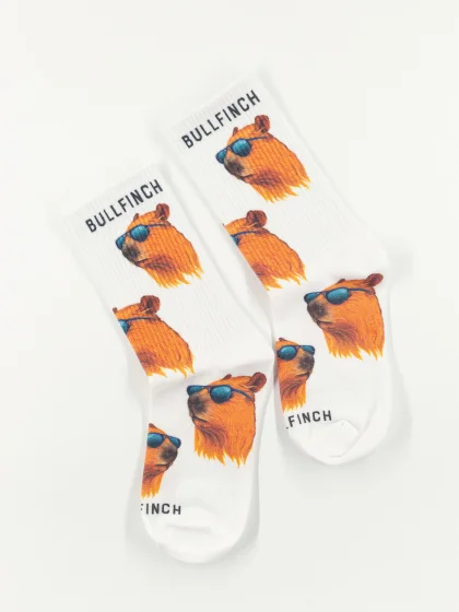 Носки "Капибара в очках"