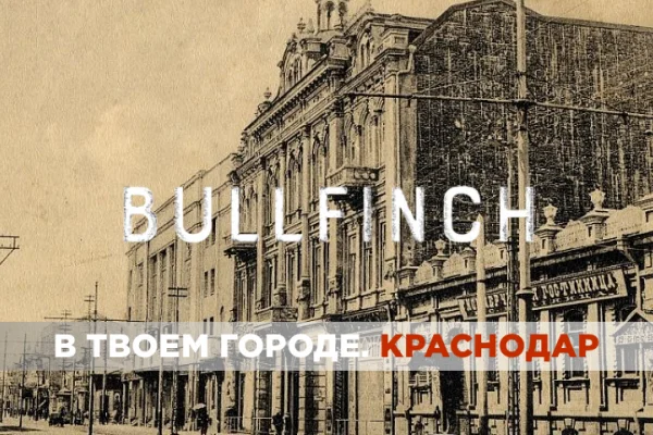 BULLFINCH & TOY в Краснодаре!