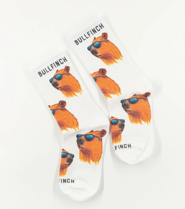 Носки "Капибара в очках"