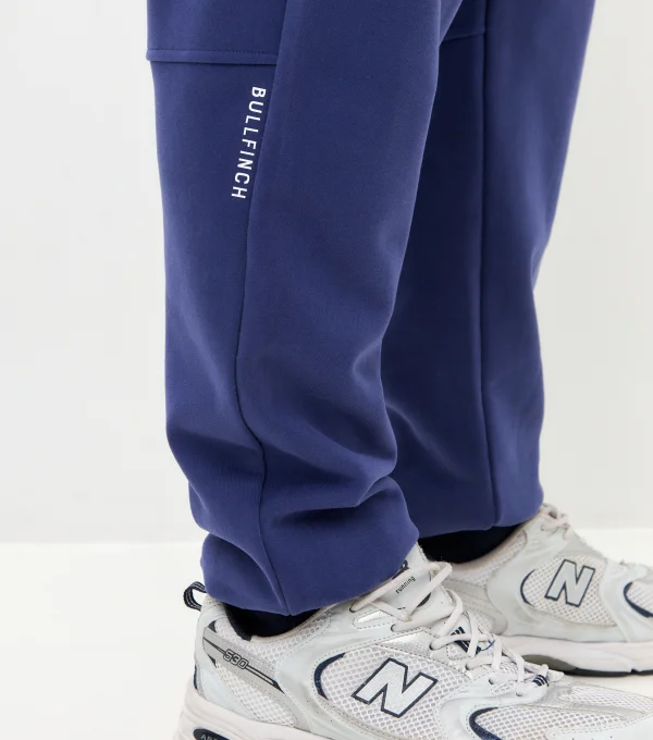 Джоггеры темно-фиолетовые