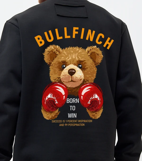 Свитшот с начесом Teddy Boxing