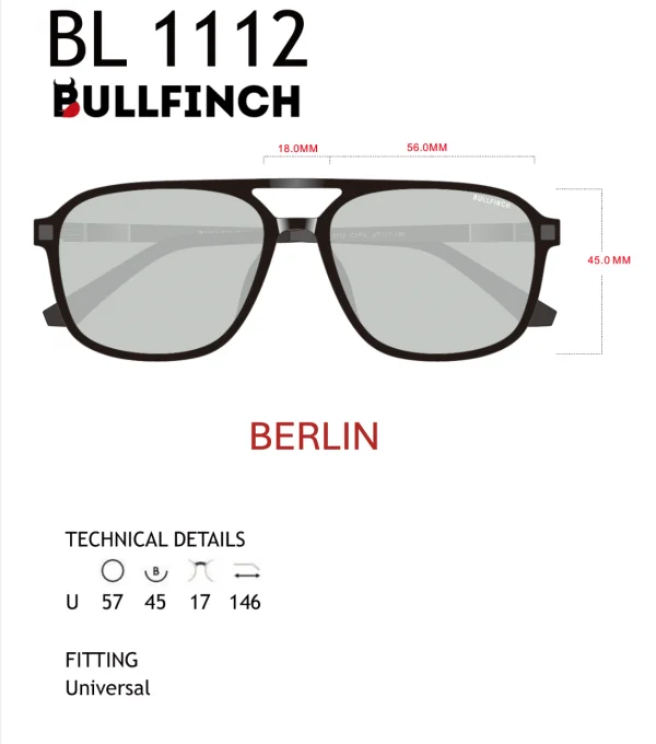 Очки BULLFINCH модель C1112